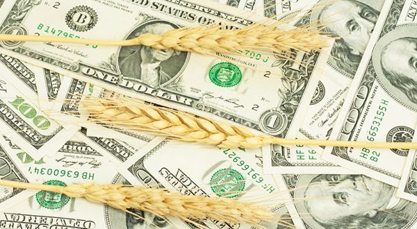
В этом году Саудовская Аравия планирует закупить 3,1 млн. тонн пшеницы
