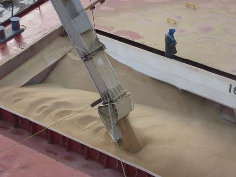 
Саудовская Аравия продолжает увеличивать импорт пшеницы