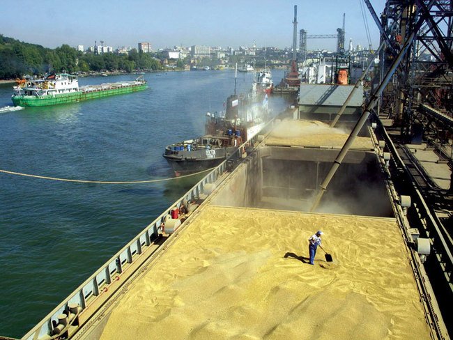 
Египет не поддержал, а ослабил мировые цены на пшеницу