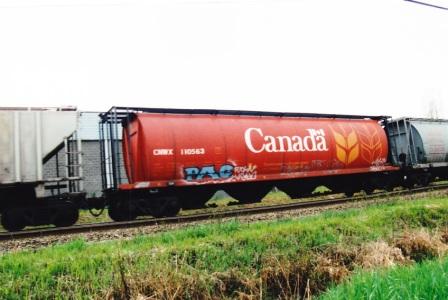 
Канада в пять раз увеличила поставки мягкой пшеницы на Ближний Восток