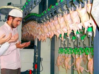 
Арабы скупают украинскую курятину и конфеты