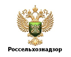 
В Новороссийском порту задержали партию зараженного картофеля из Египта