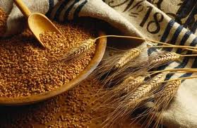 
Египет пересматривает качественные требования к импортной пшенице
