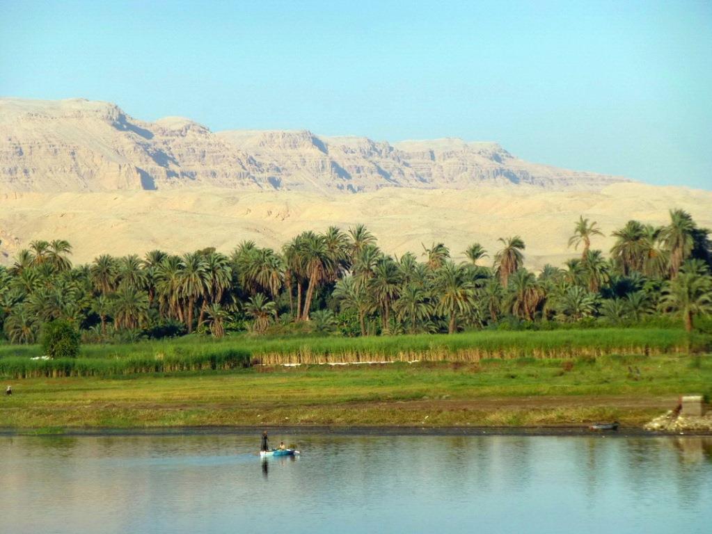 
Египет выделит саудовским инвесторам 500 тыс. акров пахотных земель