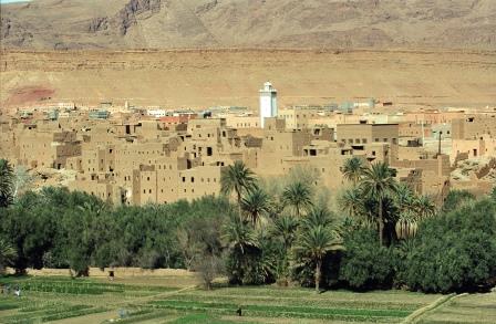 
Марокко повышает пошлину на мягкую пшеницу для стабилизации рынка