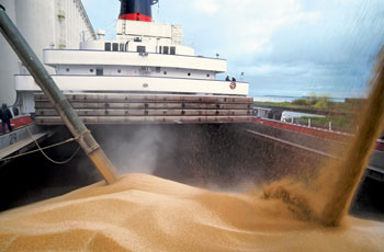 
Морской экспорт украинской пшеницы в Египет в 2013/14 МГ превысил 1,6 млн. т