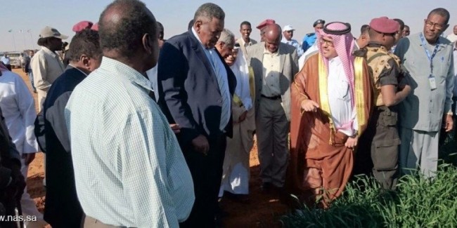 
Nadec инвестирует SAR1,5 млрд в Судан