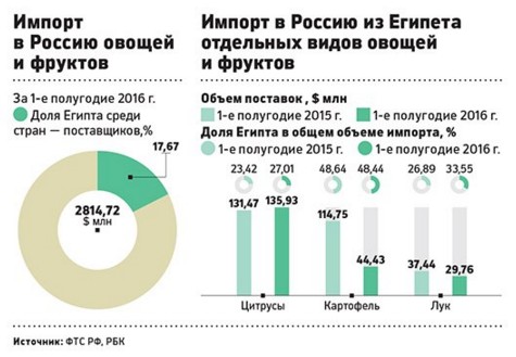 
Египетская делегация приедет в Россию, чтобы решить споры по поводу импорта