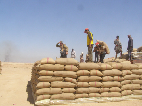 
Сирия расторгла сделку на поставку 200 тыс. т пшеницы в Ирак