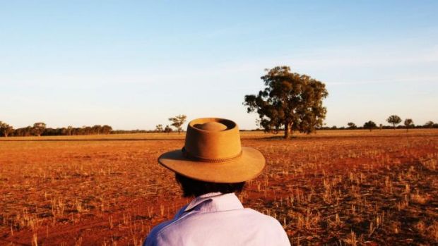 
Австралия теряет долю рынка пшеницы в Африке и на Ближнем Востоке