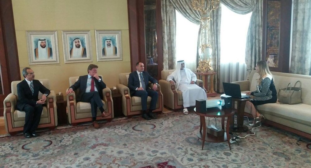 
В Арабских Эмиратах обсудили перспективы осуществления инвестиций в Грузию