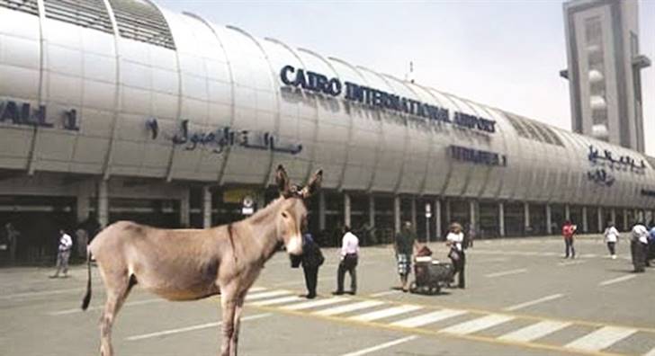 
Безопасностью египетских аэропортов займется иностранная компания