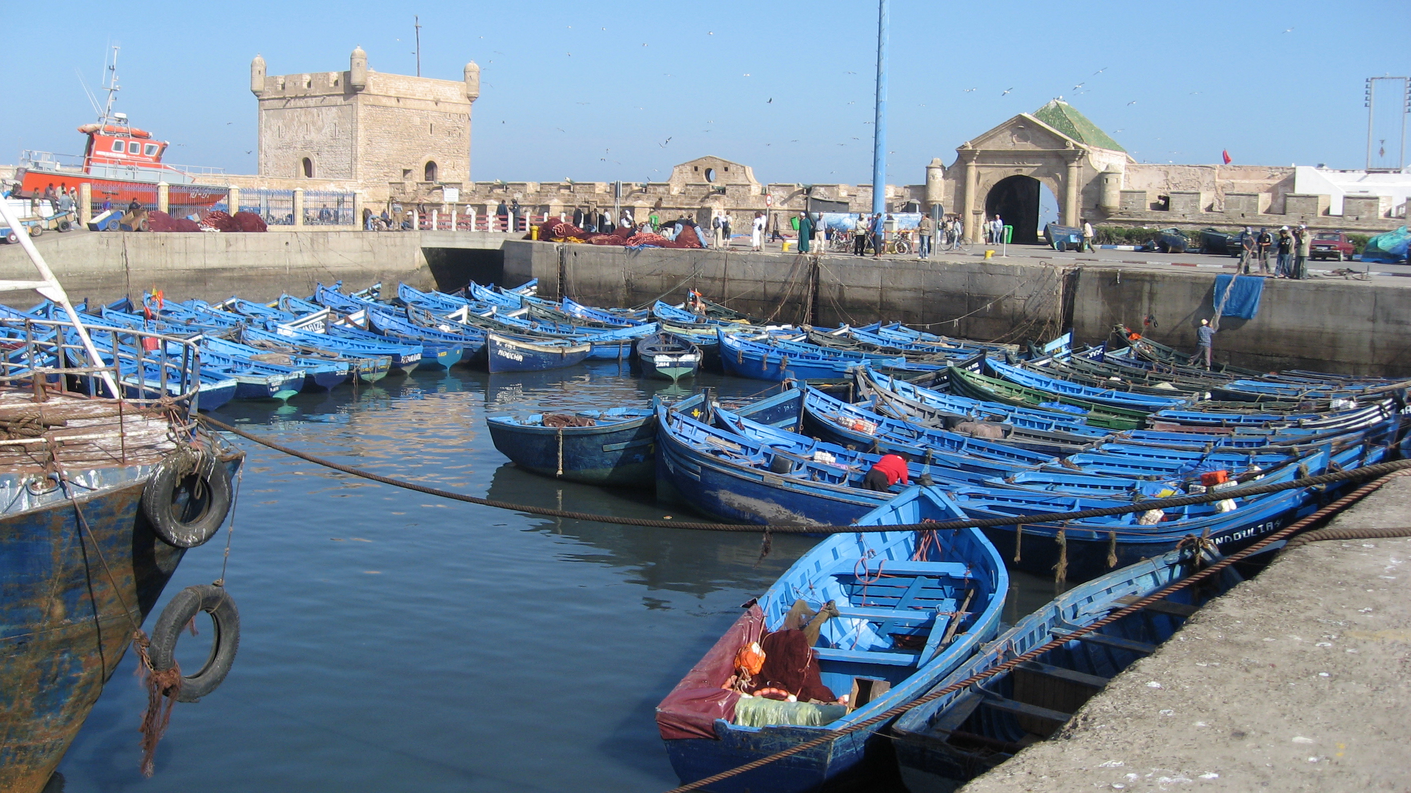 
Марокко - лидер Африки и арабского мира по вылову рыбы и морепродуктов