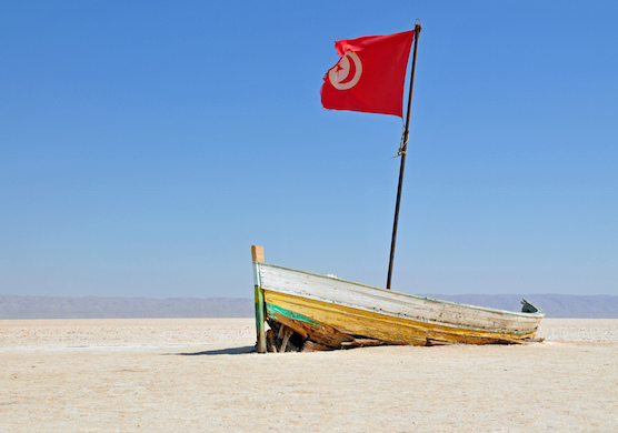 
И Турция нам не помеха: Тунис не собирается делить российский турпоток