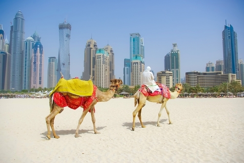 
Стоимость отдыха в ОАЭ снизилась