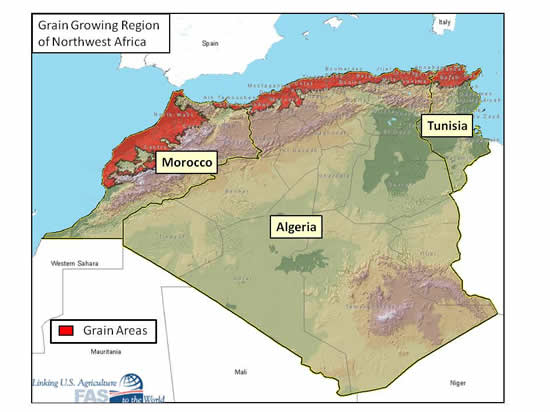 
Алжир намерен значительно увеличить производство зерна