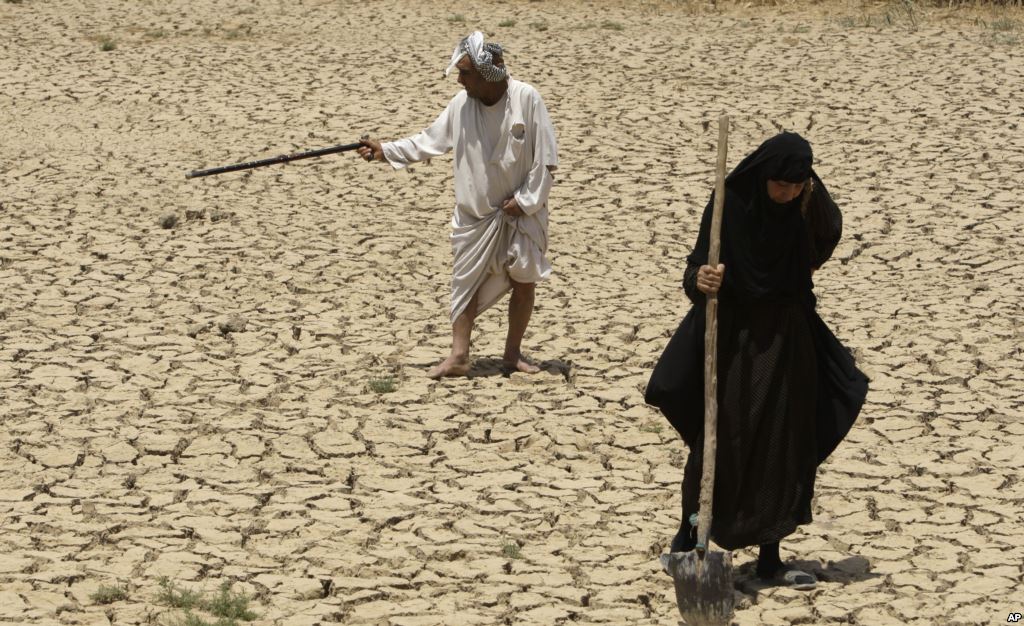 
Засуха значительно ухудшила перспективы урожая зерновых в странах Магриба