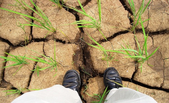 
По исследованиям учёных уровень грунтовой воды в ОАЭ достиг критической отметки