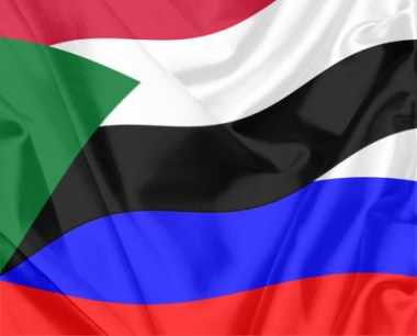 
Судан готов к стратегическому партнерству с РФ