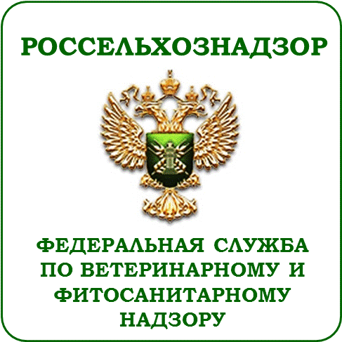 
Россельхознадзор ужесточает контроль за импортом плодоовощной продукции из Марокко