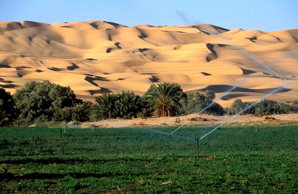 
В пустыне Сахара станет возможным развитие сельского хозяйства