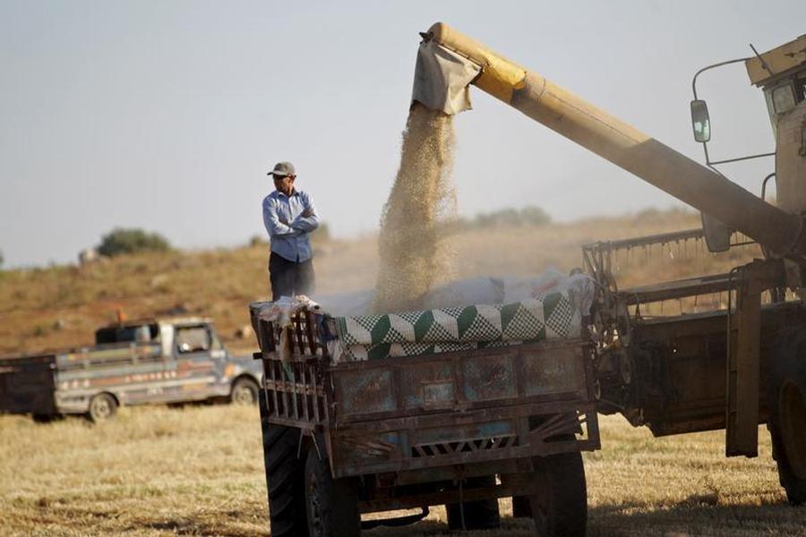 
Сирийская компания Хубуб намерена провести тендер на закупку 1 млн. тонн пшеницы из России