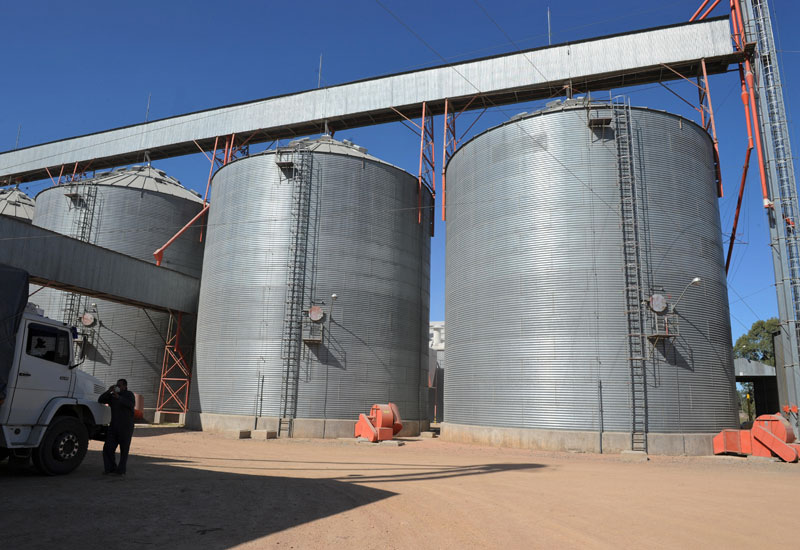 
С начала июля Египет импортировал более 0,5 млн. тонн зерновых
