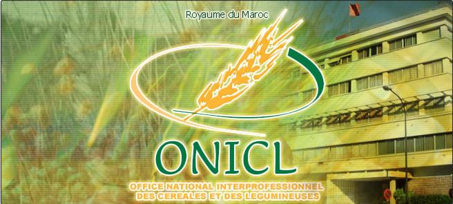 
Марокко: ONICL закупает пшеницу на внутреннем рынке