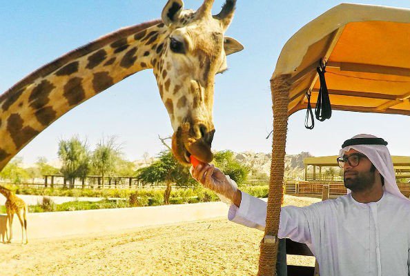 
ОАЭ: самый большой в мире рукотворный сафари-парк открылся в Эль-Айн
