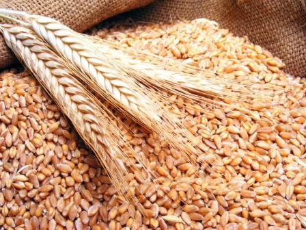 
Россельхознадзор: Ирак заинтересован в увеличении поставок зерна из РФ