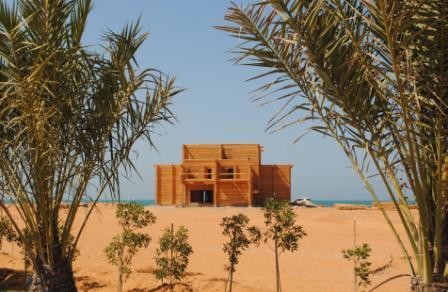 
В ОАЭ собираются начать строительство деревянных домов