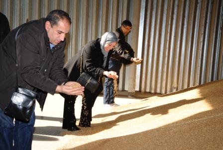 
Марокко увеличило импорт зерна на 80%