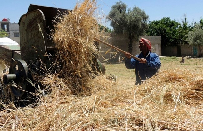 
Сирия ведет переговоры с Италией о сделке по обмену 100 тыс. тонн зерна