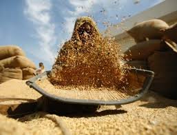 
Египет закупил у местных аграриев 4,25 млн. тонн пшеницы