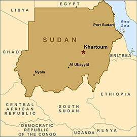 
Беларусь и Судан планируют предпринять шаги по наращиванию взаимного товарооборота