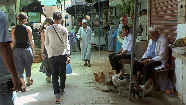 
Марокко будет развивать птицеводство