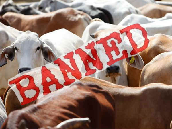 
Саудовская Аравия возобновит импорт американской говядины после запрета 2011 года