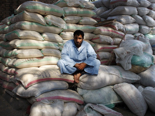 
Страны Ближнего Востока активизируют закупки пшеницы