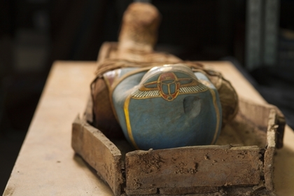 
В Египте нашли гробницу с полусотней мумий