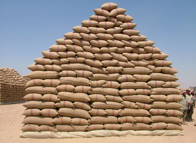 
На этой неделе Алжир закупил почти 1 млн. т пшеницы