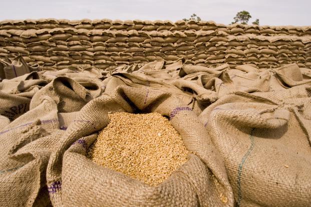 
По итогам 2014 года импорт пшеницы Саудовской Аравией возрастет до 2,7 млн. т
