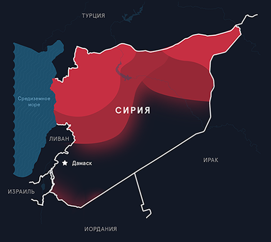 
За время войны в Сирии погибли более 220 000 человек