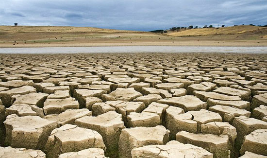 
ООН: засуха на Ближнем Востоке приведет к росту цен на продукты питания