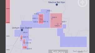 
Circle Oil заявила об открытии газового месторождения в Марокко