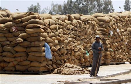 
В августе Египет импортировал 790 тыс. тонн зерновых из Украины