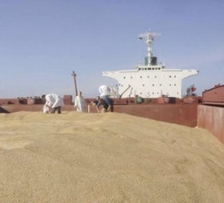 
В 2013 г. Алжир импортировал 10 млн. т зерна