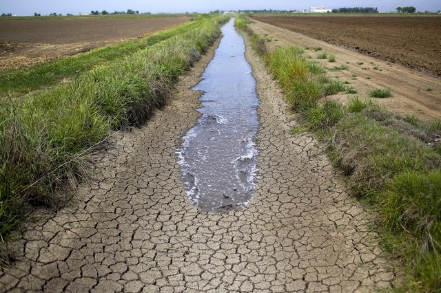 
Учёные: Засуха на Ближнем Востоке может привести к войнам за воду