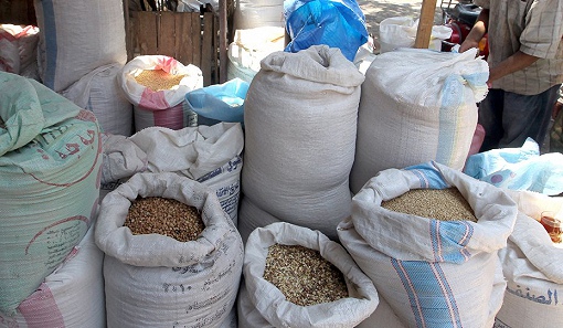 
Египет планирует создать зерновую биржу с помощью СМЕ