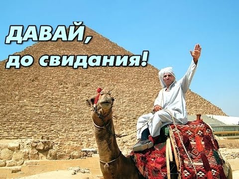 
В поисках земли обетованной: почему происходит исход русских эмигрантов из Египта?