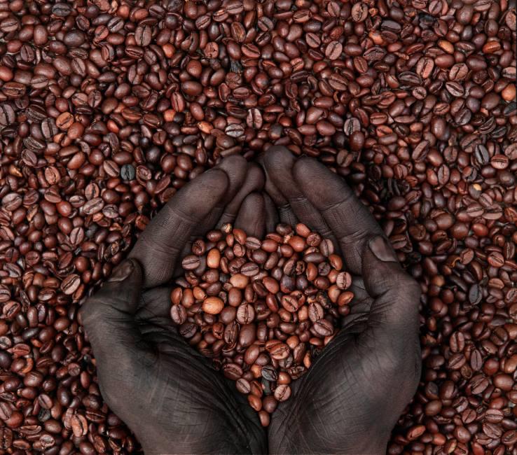 
Саудовские предприниматели присматриваются к инвестициям в африканский кофе